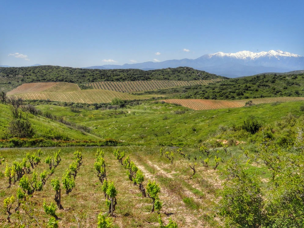 Mount Canigou in Languedoc-Roussillon
